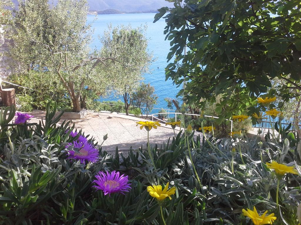 Apartment Mediteraneo *