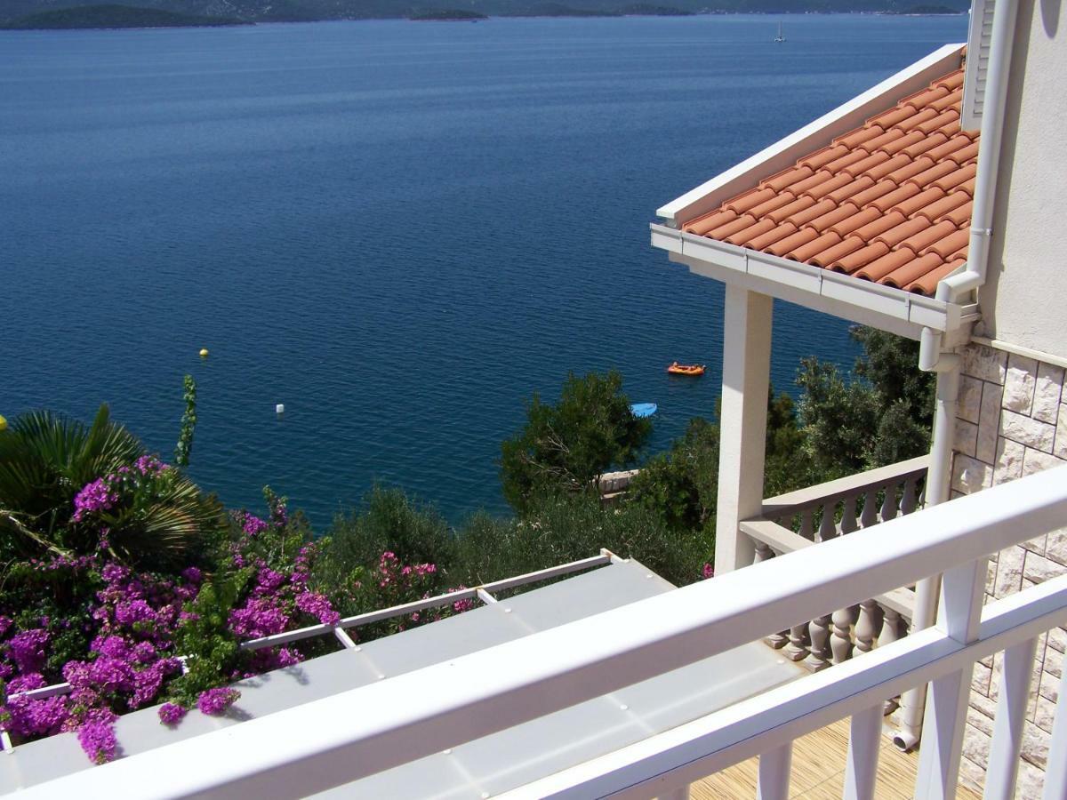 Mediteraneo