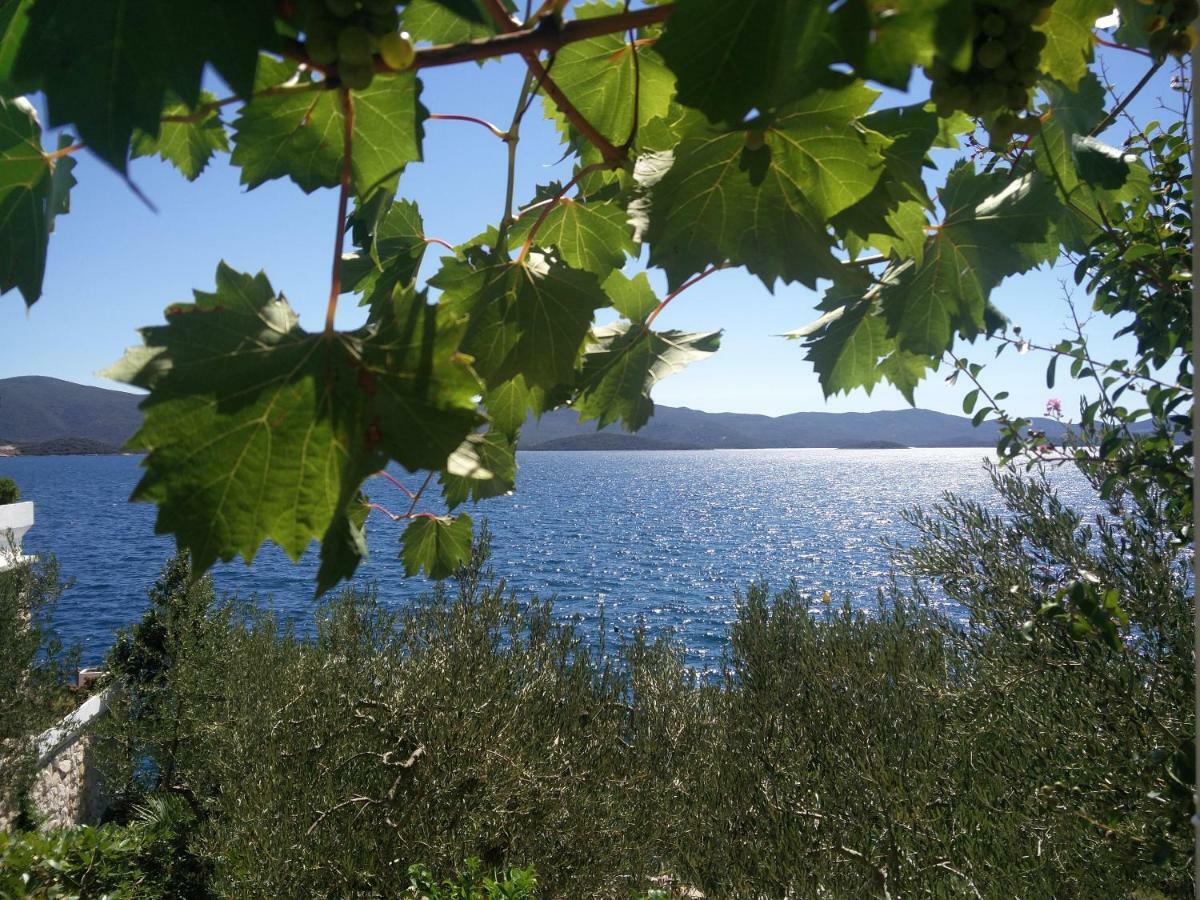 Mediteraneo *